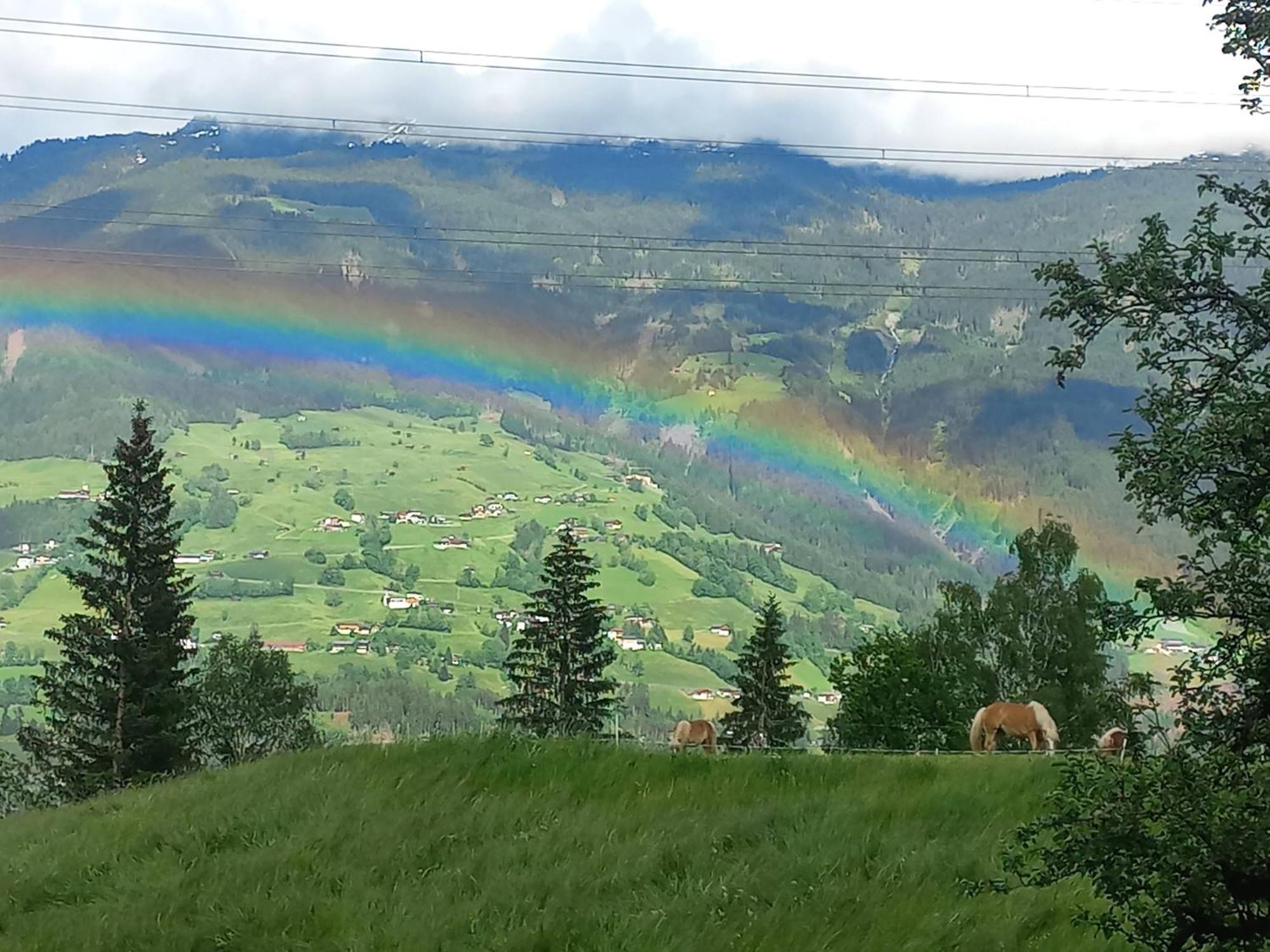 Wieshof Kaltenbach Buitenkant foto