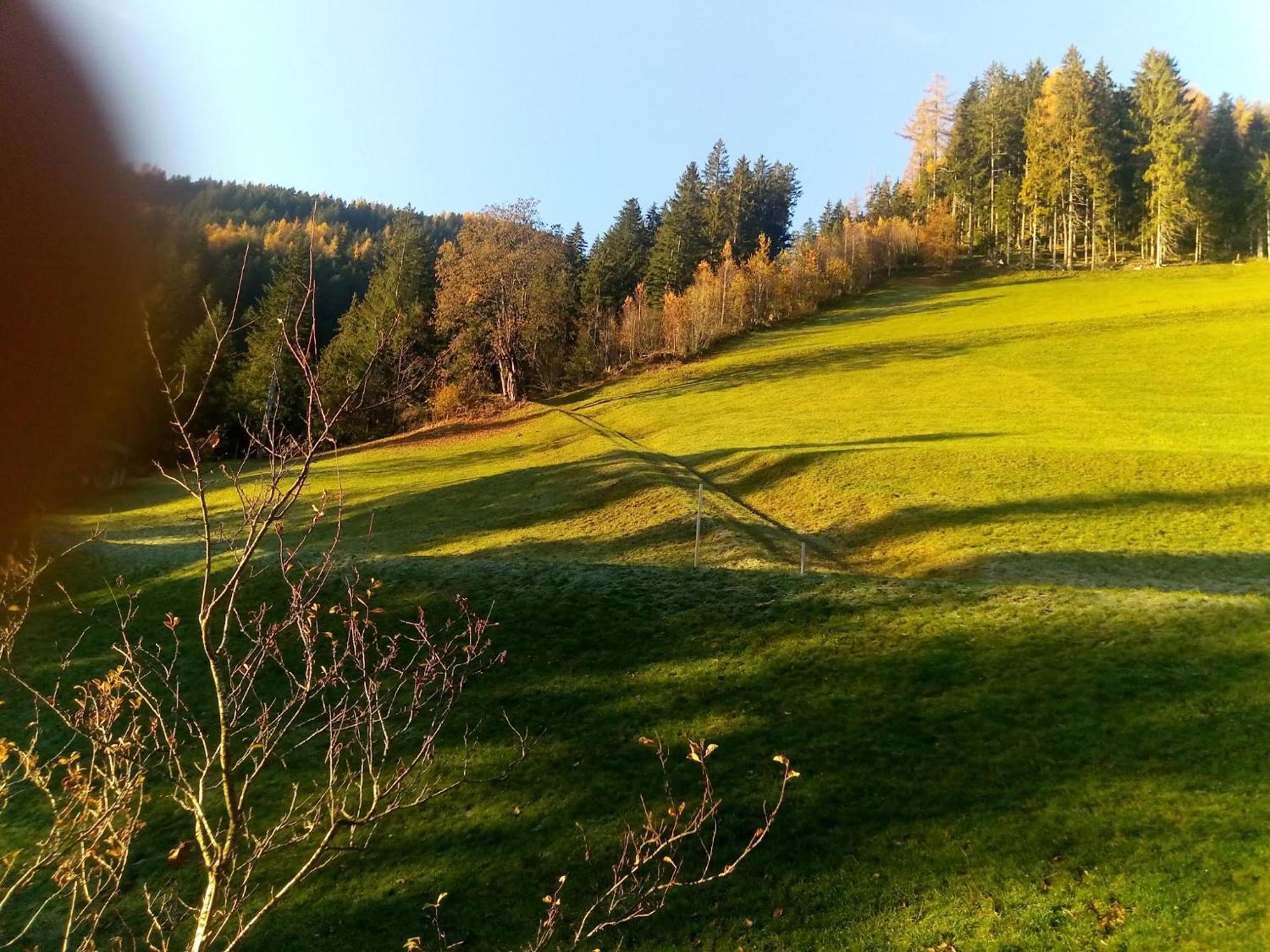 Wieshof Kaltenbach Buitenkant foto