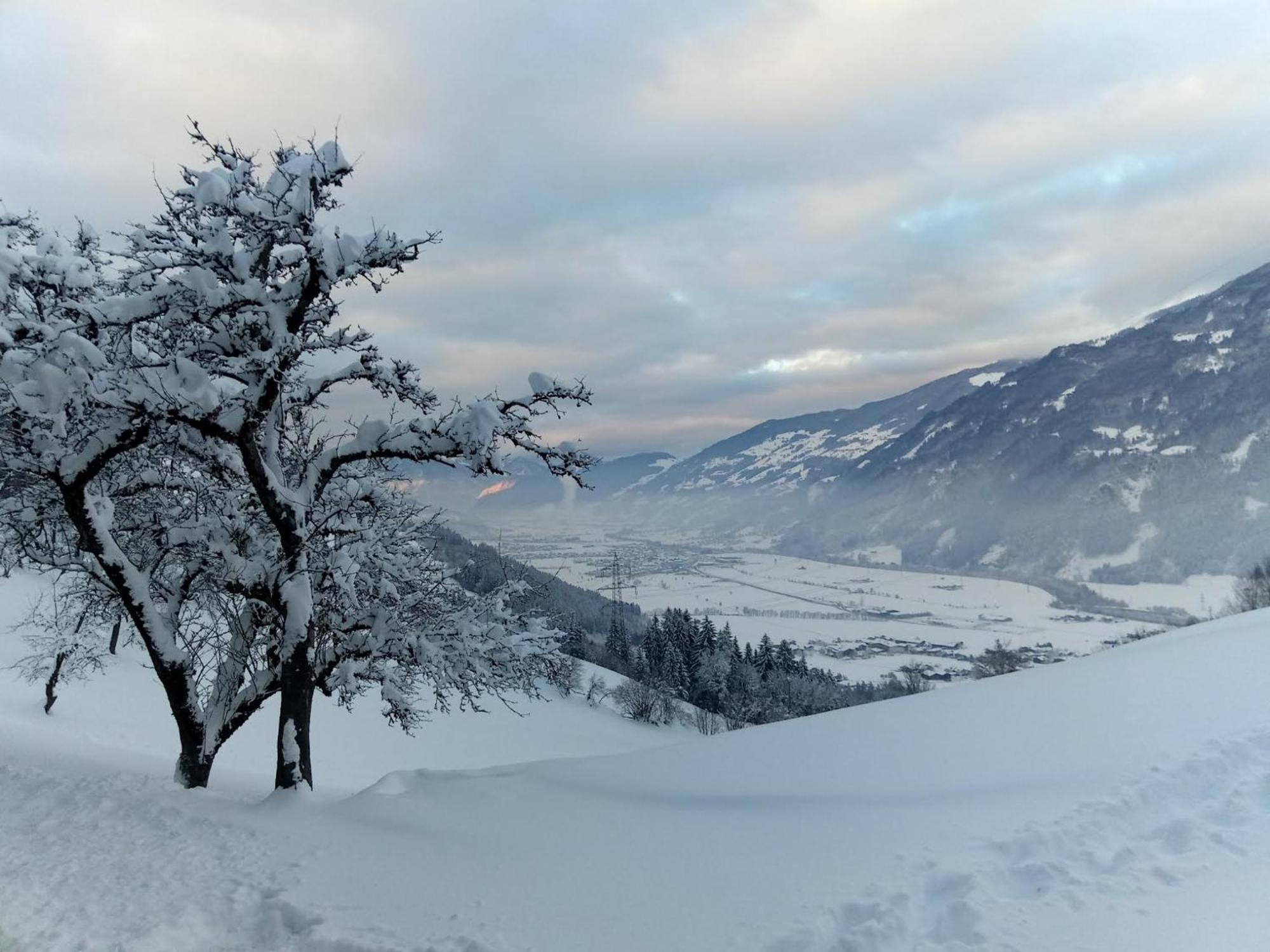 Wieshof Kaltenbach Buitenkant foto