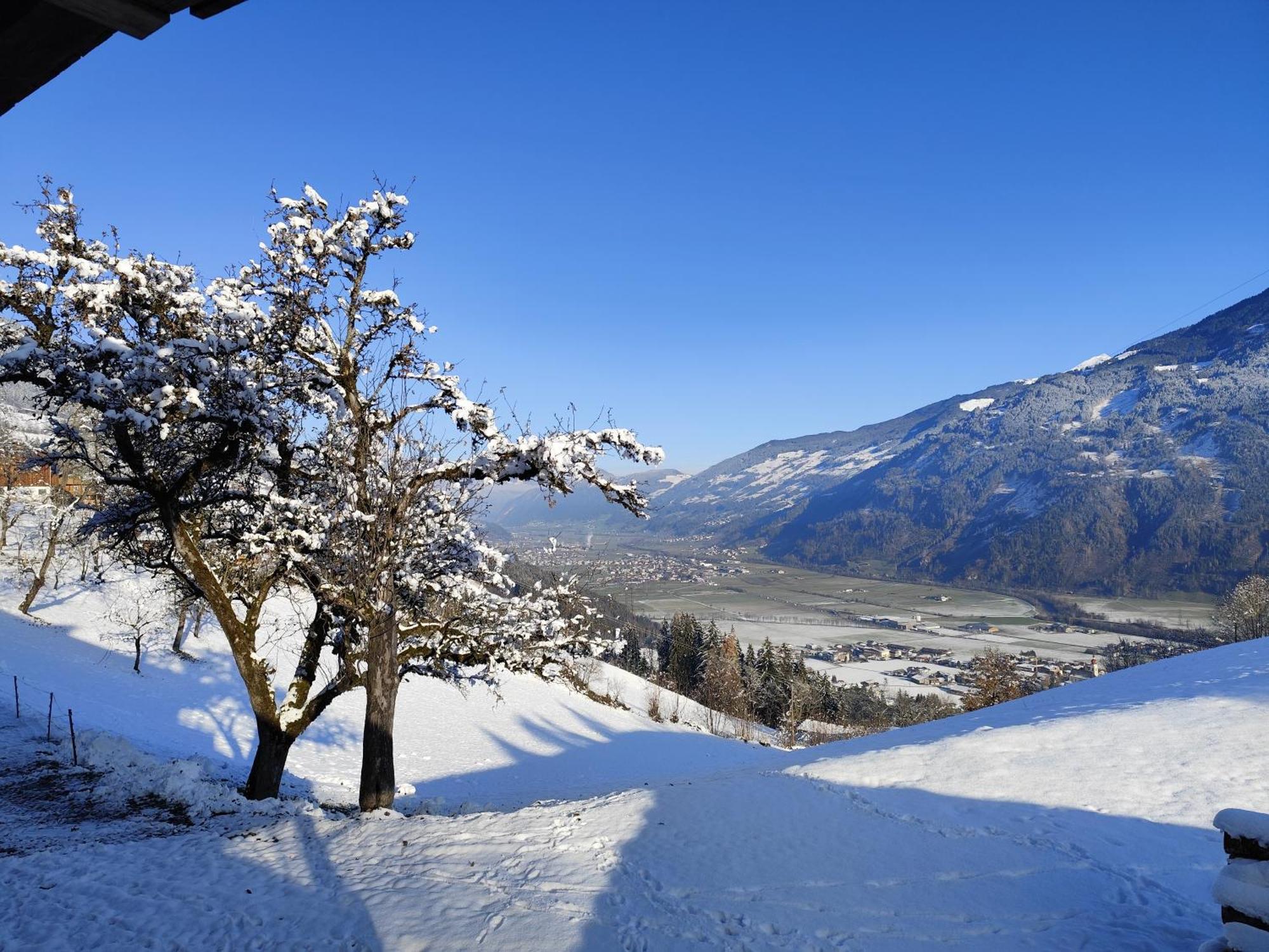 Wieshof Kaltenbach Buitenkant foto