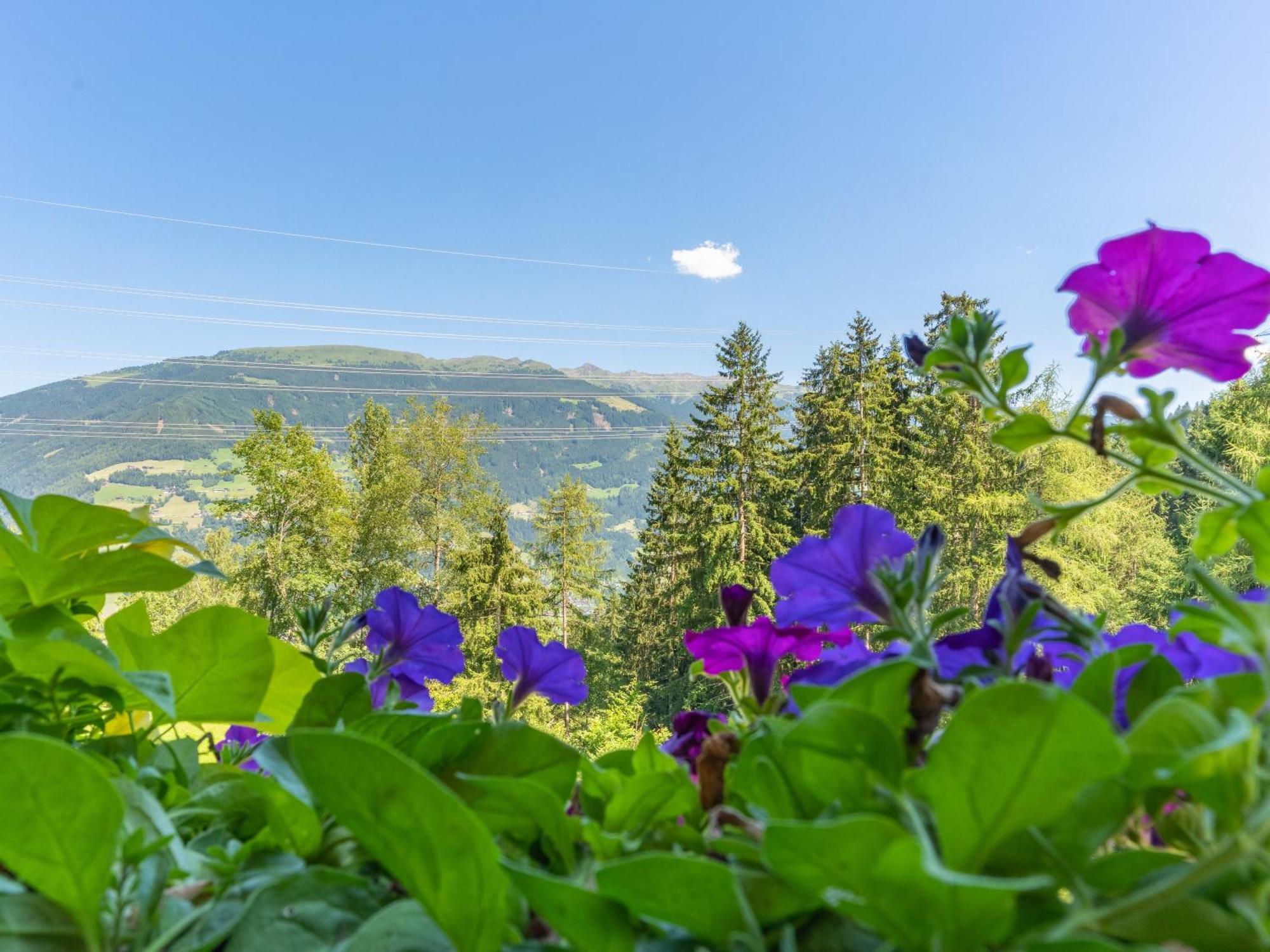 Wieshof Kaltenbach Kamer foto