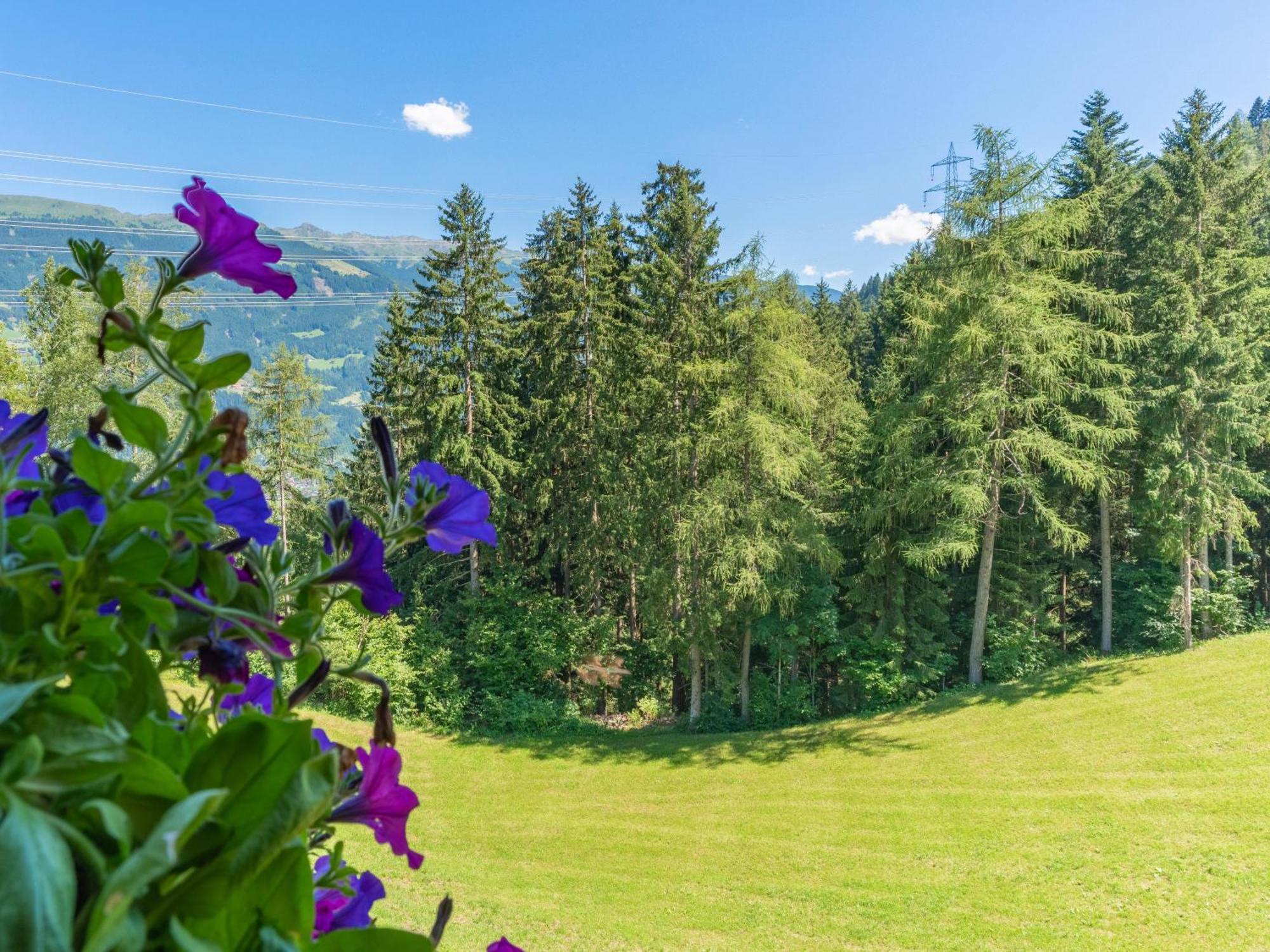 Wieshof Kaltenbach Kamer foto